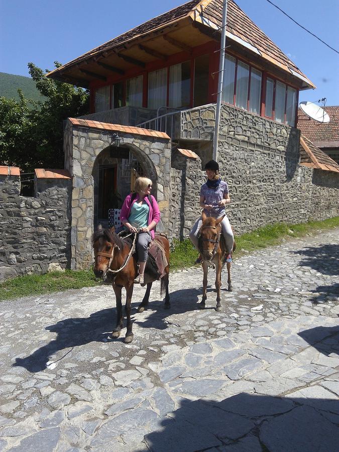 Ilham Mustafa Houses Şǝki エクステリア 写真